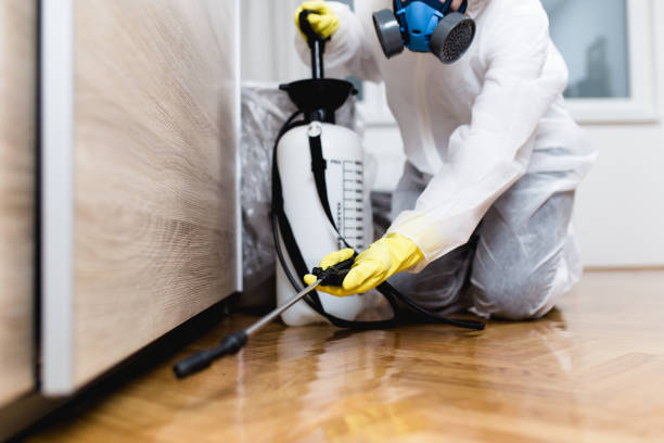 Best Local Pest Control Services  in Mccla, AL
