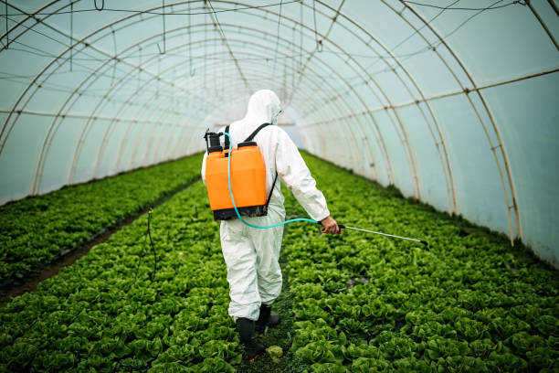 Best Best Pest Control Companies  in Mccla, AL