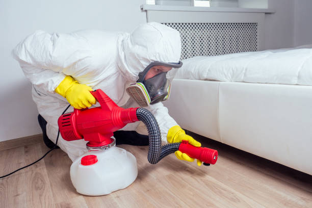 Best Bed Bug Extermination  in Mccla, AL