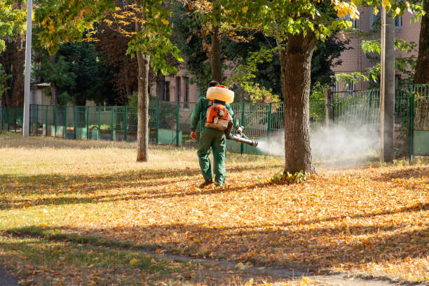 Best Insect Control  in Mccla, AL
