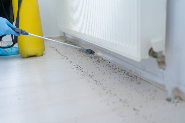 Best Pest Control for Businesses  in Mccla, AL