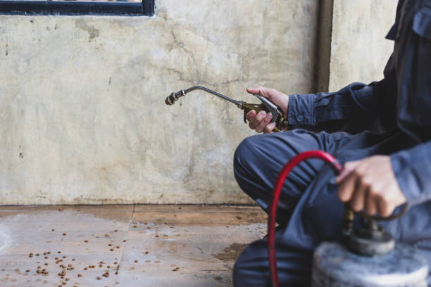 Best Exterminator Services  in Mccla, AL